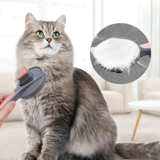 Brosse autonettoyante pour chats et chiens